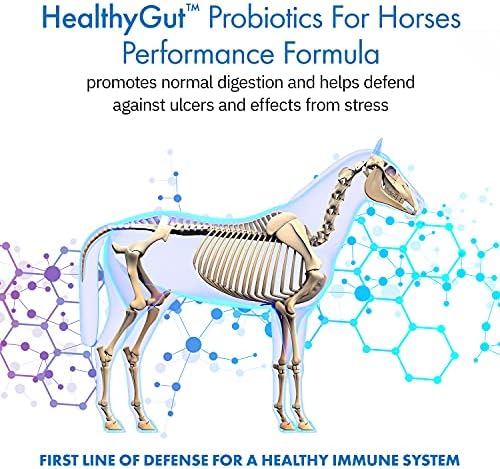 HealthyGut™ Probiotics for Horses Dietary Supplement, All-Natural Digestive System Performance Formula (90 Days)