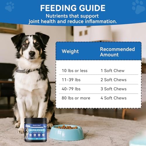 Biotic’s Gain Dog Joint Supplement | Glucosamine for Dogs | 120 Soft Chews