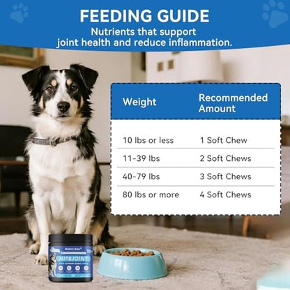 Biotic’s Gain Dog Joint Supplement | Glucosamine for Dogs | 120 Soft Chews