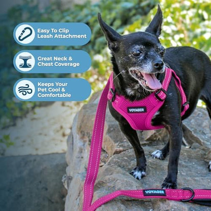 Best Pet Supplies Voyager Adjustable Step-in Flex Breathable Mesh Dog Harness for Small Medium Large Dogs Leash Set (Fuchsia), M