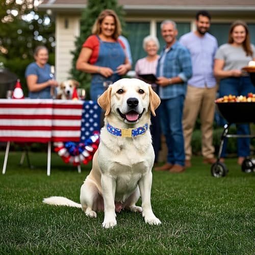 4th of July Dog Collar, Blue Flag Popsicle Patriotic Pet Collar with Metal Buckle, Adjustable Summer Holiday Dog Collars for Small Medium Large Dogs XL