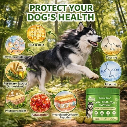 Biotic’s Gain Skin and Coat Supplement for Dogs | Collagen for Dogs