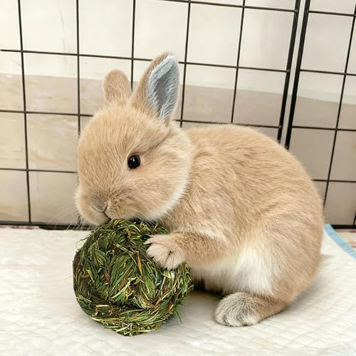 PINVNBY 2 Pcs Rabbit Timothy Hay Balls,Natural Bunny Chew Toys Grass Ball Small Animal Teeth Grinding Activity Woven Play Ball for Rabbit Guinea Pigs Hamsters Chinchillas