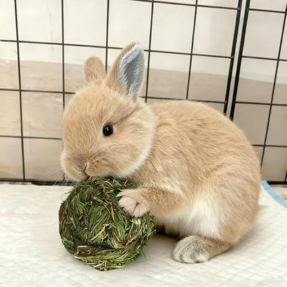 PINVNBY 2 Pcs Rabbit Timothy Hay Balls,Natural Bunny Chew Toys Grass Ball Small Animal Teeth Grinding Activity Woven Play Ball for Rabbit Guinea Pigs Hamsters Chinchillas