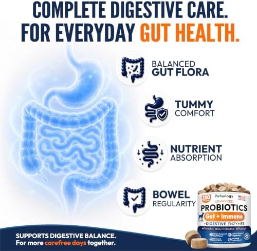 Probiotics for Dogs - 250 Dog Probiotics Chews - Digestive Enzymes Support