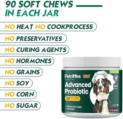Advanced Probiotic for Dogs, Supports Digestive Health, Immune Health, Gut Health, Improves Nutrient Absorption - Six Strains of Probiotics - Inulin - Enzyme Blend, 90-Count, Chicken