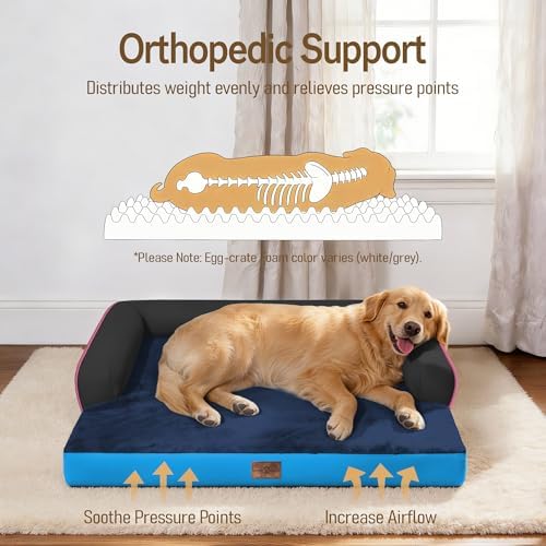 Comfort Expression Washable Dog Bed with Bolster for Medium to Large Dogs