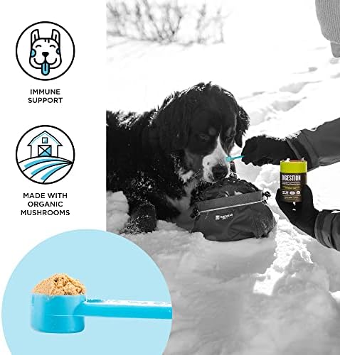 BIXBI dog vitamins supplements Immune Support Daily Cat Supplement, Powder Supplement, 2 Month Supply US