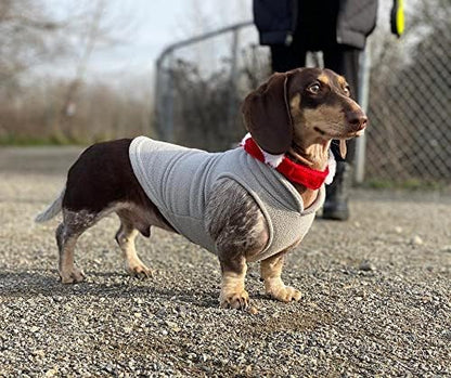 Gooby Fleece Vest Dog Sweater, Gray/Yellow, X-Large