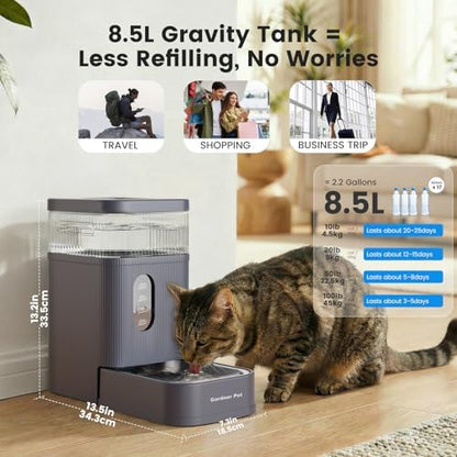 2.2 Gallon Automatic Dog Water Dispenser with Stainless Steel Bowl