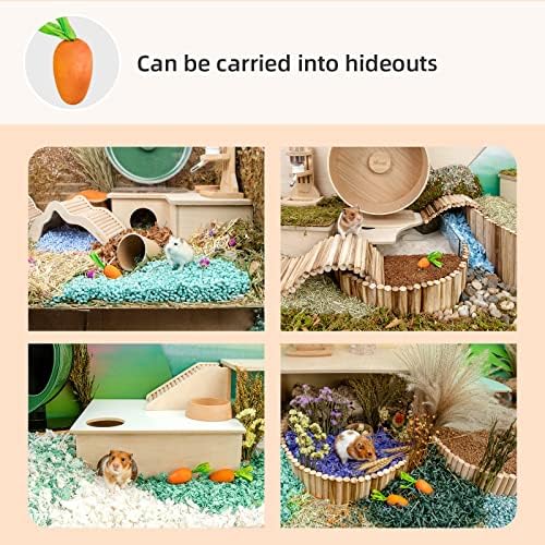 Niteangel Hamster Chew & Decor Toys: Pack of 6 Carrot-Shape & Beech Wood