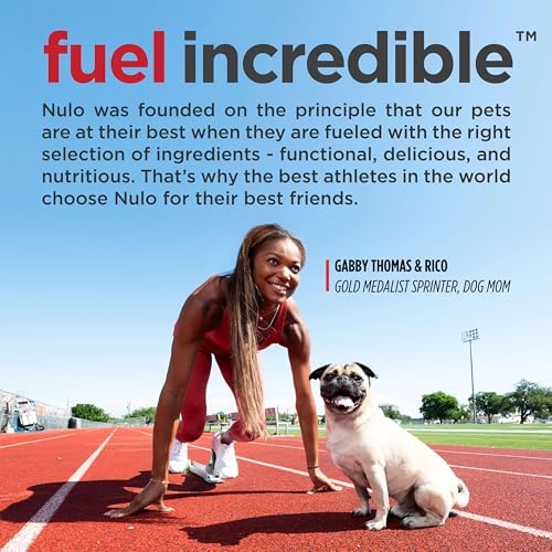 Nulo Freestyle Puppy Food - Turkey & Sweet Potato, Grain Free Dog Food Dry for Puppies, Natural, High Protein Kibble with Probiotics, DHA & Omega 3 Fatty Acids for Small and Medium Breeds, 6lb Bag