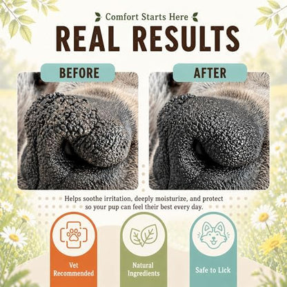 Natural Dog Company Snout Soother Dog Nose Balm – Moisturizer for Dry Crusty Noses, Summer Care for Outdoor Dogs, Hot Weather, Beach Days & Walks with Coconut Oil & Shea Butter, 2 oz Stick