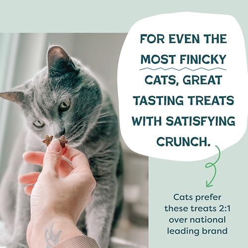Shameless Pets Crunchy Cat Treats - Catnip N Chill, 3-Pk