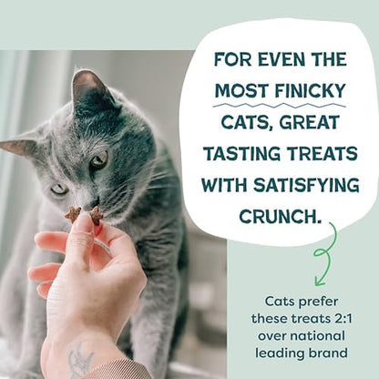 Shameless Pets Crunchy Cat Treats - Variety Pack, 3-Pk