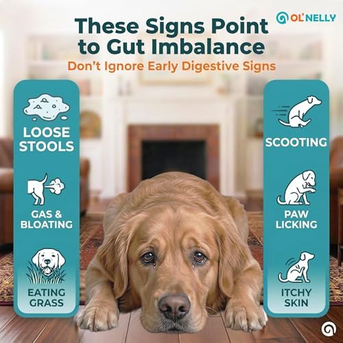 OL’ NELLY Dog Probiotic Paste for Dogs & Cats, 7.2 Billion CFU, Helps Support Loose Stool, Gas & Sensitive Stomach, 6-Strain Probiotics + Prebiotic, 14g