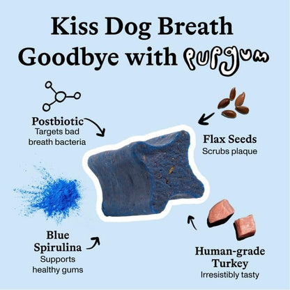 Spot & Tango PupGum Dog Dental Chews for Fresh Breath & Clean Teeth – Clinically Proven Ingredients – Human-Grade, Vet-Developed Daily Dental Treats for Dogs 16-40lbs – 14 Chews – Made in USA