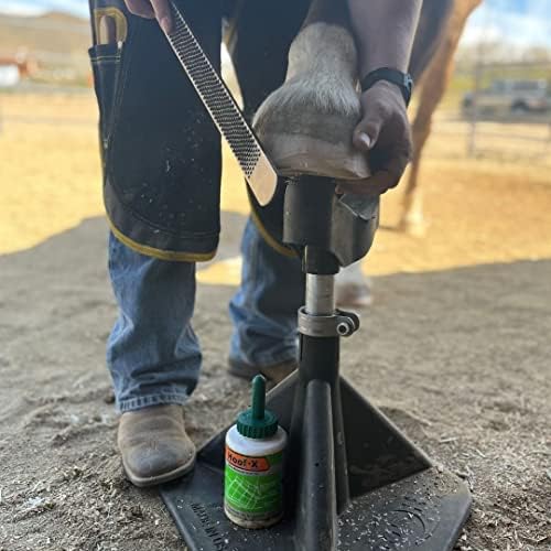 HOOF-IT Blacksmith Farrier Horse Hoof Stand, Black
