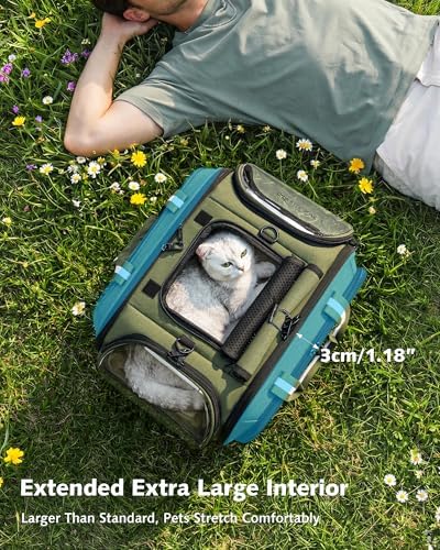 Pecute Cat Carrier,Double Bubble Pet Carrier for Cat Small Dogs,Green,M