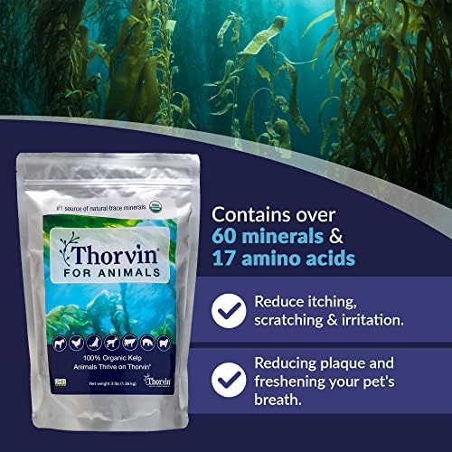 Kelp for Animals | Organic Supplement for Skin, Coat, Digestion and Optimal Health | Suitable for Dogs, Cats, Horses, and Livestock | 3lb