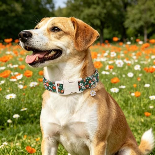 DOGWONG Fall Floral Dog Collar, Green Pumpkin Flower Pretty Cute Girl Dog Collar,Girl Female Dogs Collars for Small Medium Dogs, Neck 11-16 inches