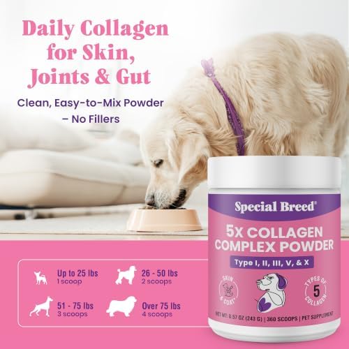 Premium 5X Collagen Powder for Dogs - Types I, II, III, V & X - Skin, Join, Gut & Coat Support - Collagen Powder with Bamboo & Vitamin C, 180 Scoops 8.57 oz