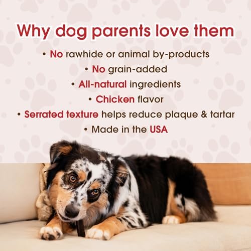 Get Naked Grain-Free Joint Health Dental Chew Sticks for Small Dogs, Natural Dog Dental Chews & Treats, 6.2 oz