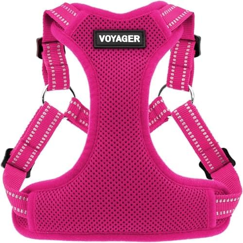 Voyager Step-in Flex Adjustable Dog Harness - Fuchsia, Small