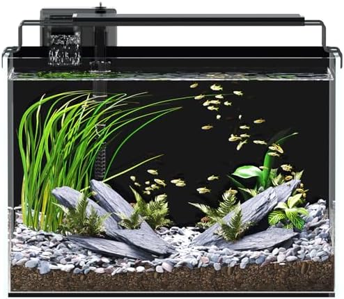 5 Gallon Fish Tank Aquarium Starter Kit with Filter Light Lid Rimless Glass
