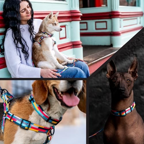 Wolfgang Wide Venture Dog Collar Mixtape Print Medium