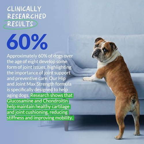 Hip & Joint Max Strength Dogs - Collagen, Glucosamine & Fish Oil