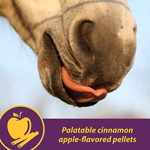 Horse Health Joint Combo Classic, An Unbeatable Joint Combination Supplement for Horses, Cinnamon Apple 8 Pounds