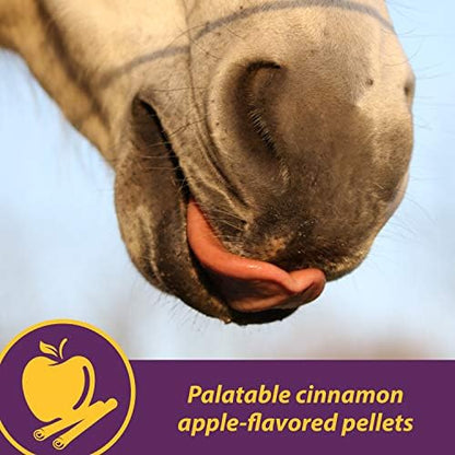 Horse Health Joint Combo Classic, An Unbeatable Joint Combination Supplement for Horses, Cinnamon Apple 8 Pounds