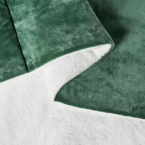 Amazon Basics Reversible Sherpa Comforter Set with Pillow Sham, Twin/Twin XL, Green