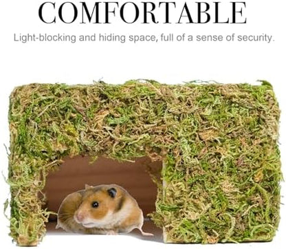 Hamster Hideout - Large, Natural Moss, Handcrafted for Syrian Hamsters, Rats & Guinea Pigs, Hermit Crab,Hedgehogs,Lizards & Other Reptiles（Square, Large）