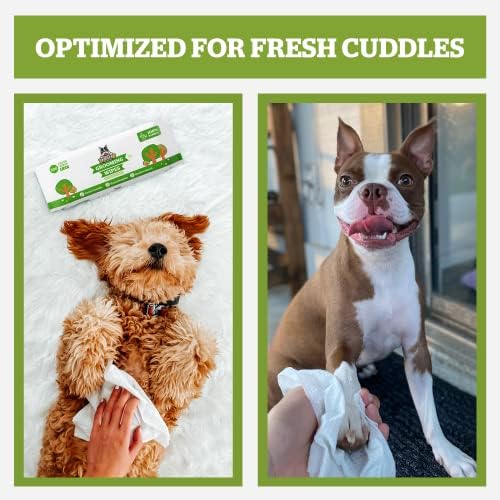 Pogi’s Dog Wipes – Hypoallergenic Pet Wipes for Paws, Body & Butt – Cleaning & Hydrating, Fragrance Free, 400 Count (Pack of 2)