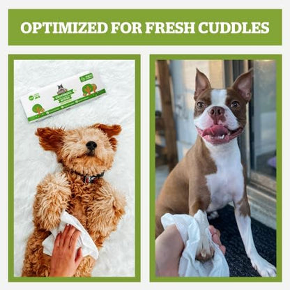 Pogi’s Dog Wipes – Hypoallergenic Pet Wipes for Paws, Body & Butt – Cleaning & Hydrating, Fragrance Free, 400 Count (Pack of 2)