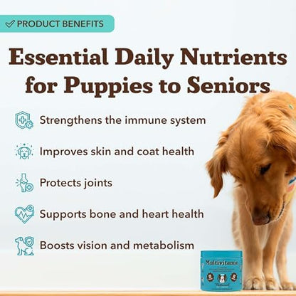 Natural Dog Company 25-in-1 Multivitamin for Dogs – Vet-Formulated Soft Chews for Puppies, Adults & Seniors, Supports Joints, Skin, Coat, Immune & Heart Health, NASC Certified, 180 Count