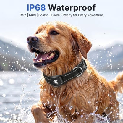 GPS Dog Collar with Tracker, Waterproof, No Monthly Fee, Black, XS