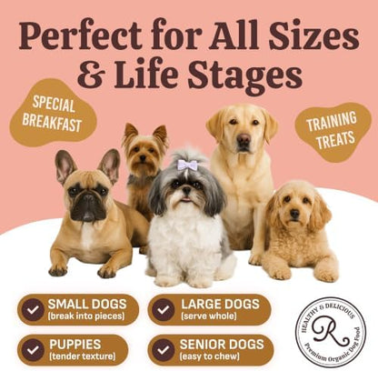 Organic Dog Pancake Mix, Chicken & Pumpkin, Bone Broth