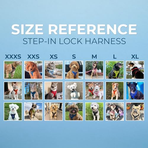 Best Pet Supplies Voyager Step-in Lock Pet Harness w Reflective Pet Leash Combo Set with Neoprene Handle 5ft - Supports Small, Medium and Large Breed Puppies/Cats - Purple/Black Trim, XL