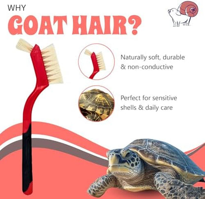 Turtle Cleaning Brush - Gently Remove Dirt from Turtles and Tortoises - Red by Snout and Shell