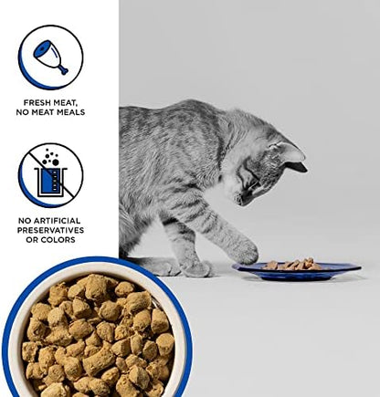 BIXBI Rawbble Freeze Dried Cat Food, Turkey Recipe, 10 oz - 94% Meat and Organs, No Fillers - Pantry-Friendly Raw Cat Food for Meal, Treat or Food Topper - USA Made in Small Batches
