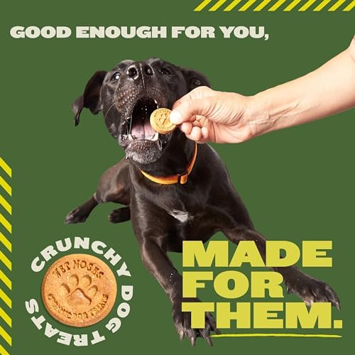 Wet Noses Organic Crunchy Dog Treats – All-Natural, Human-Grade, Non-GMO, Healthy Training & Delicious Snacks for All Dog Sizes & Breeds – Peanut Butter & Molasses (Grain Free), 5lb (Single Pack)