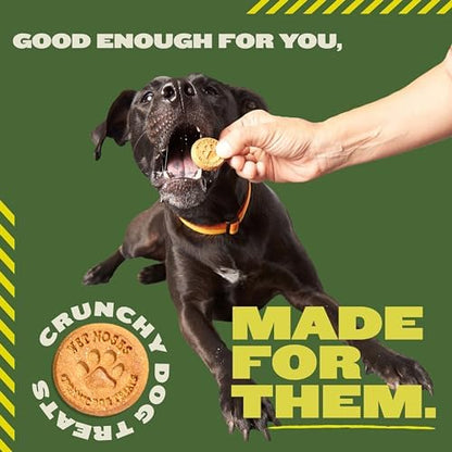 Wet Noses Organic Crunchy Dog Treats – All-Natural, Human-Grade, Non-GMO, Healthy Training & Delicious Snacks for All Dog Sizes & Breeds – Peanut Butter & Molasses (Grain Free), 5lb (Single Pack)