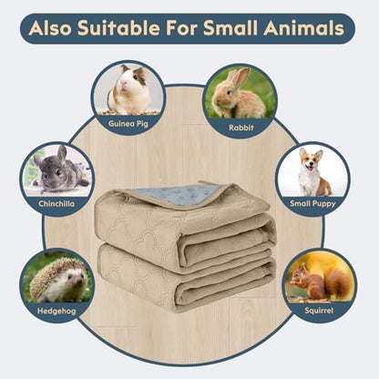 FunFurry Washable Pee Pads for Dogs - 2 Pack Reusable Waterproof Puppy Training Pads, Super Absorbent with Dog Paw Shape Non-Slip Backing (Cream, 24" X 24" - 2 Pack)