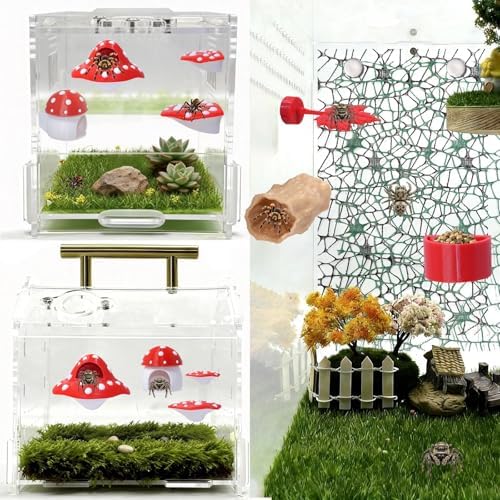 9 Pcs 3D Jumping Spider Enclosure Accessories Set, Jumping Spider Platforms
