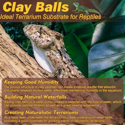ZeeDix 2 LBS Leca Clay Balls for Reptile & Terrarium Substrate
