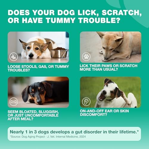 Probiotics for Dogs Gut & Digestive Health, Itchy Skin & Yeast Support
