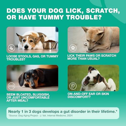 Probiotics for Dogs Gut & Digestive Health, Itchy Skin & Yeast Support